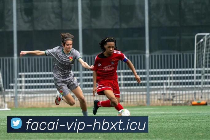 爱游戏体育APP 封面图